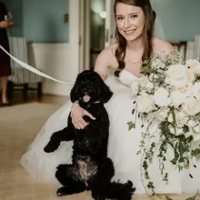 Dog friendly 