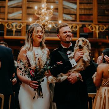 wedding ceremony dogs welcome new library 