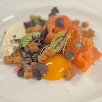 Salmon